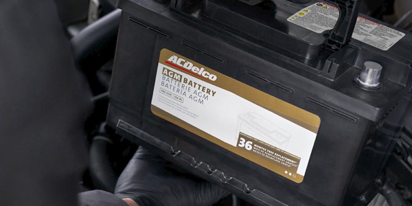 AGM Batteries ACDelco