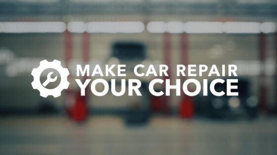 Your Car Your Choice